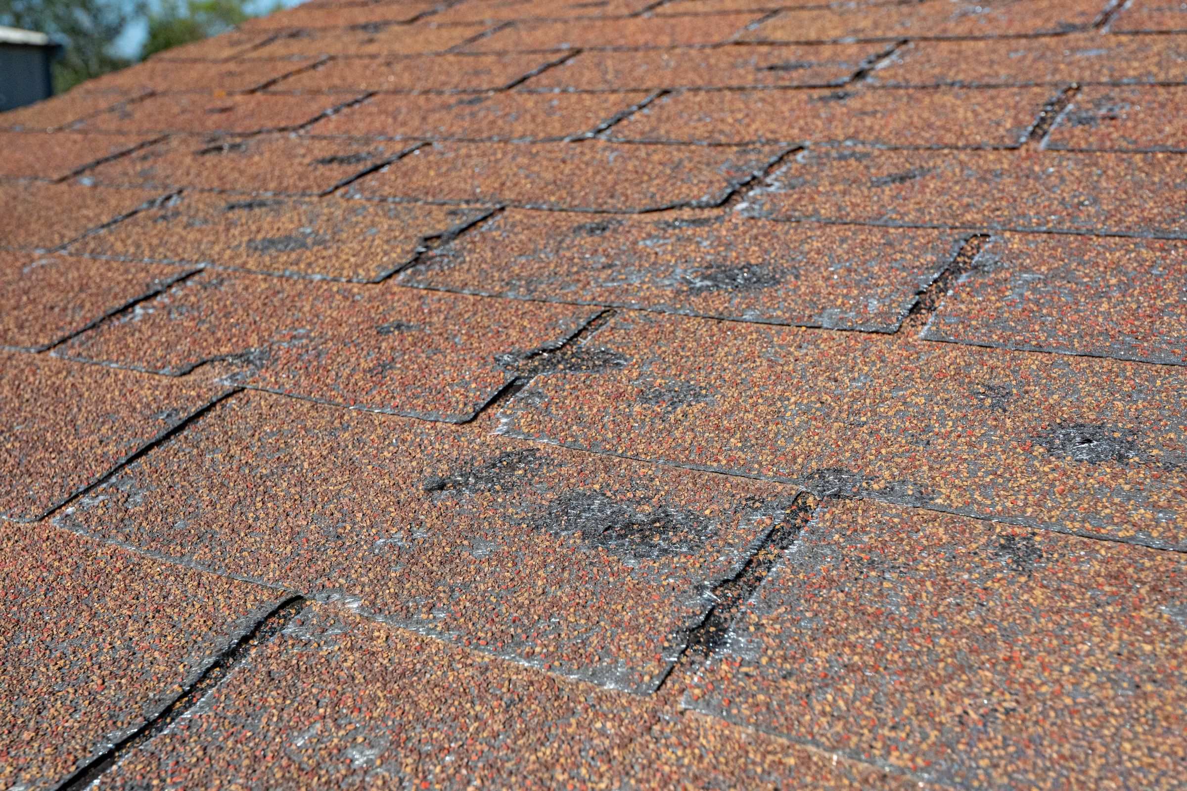 Asphalt shingles with dark circular bruises where hailstones knocked the granules off